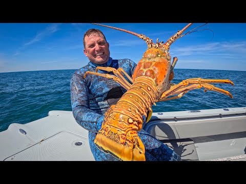 The Biggest Lobster I';ve EVER SEEN! {Catch Clean Cook} Whole Roasted Lobster